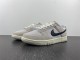 N*IKE DUNK LOW RETRO SE DO9776-001