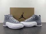 Air Jordan 12 STEALTH  CT8013-015