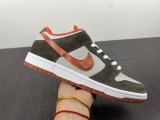 Crushed Skate X N*ike SB Dunk Low  DH7782-001
