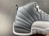 Air Jordan 12 STEALTH  CT8013-015