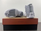 Air Jordan 12 STEALTH  CT8013-015