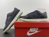 SB Dunk Low Iron Grey DQ7681-001