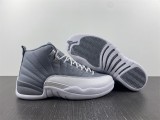 Air Jordan 12 STEALTH  CT8013-015