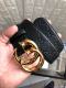G*ucci  Belts Top Quality  38MM