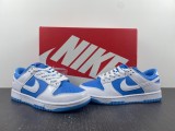 N*ike SB Dunk Low DJ9955-101