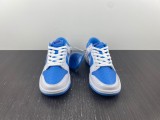 N*ike SB Dunk Low DJ9955-101