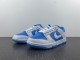 N*ike SB Dunk Low DJ9955-101