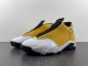 Air Jordan 14 Light Ginger  487471-701