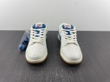 N*ike SB DUNK LOW DX3198-133