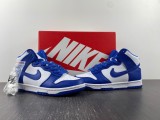 N*ike SB Dunk high UNIVERSITY DD1399-102