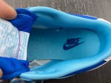 N*ike Dunk Low Retro  DM0121-400