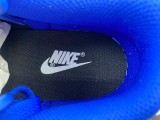 N*ike Dunk Low FD9064-110