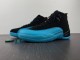 Air Jordan 12 Gamma Blue 130690-027
