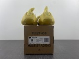 Y*eezy Boost 450 HP5426