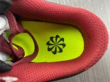 N*ike Dunk Low DN1431-002