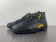 Air Jordan 12 Black Taxi CT8013-071