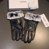 Top Gloves
