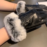 Top Gloves