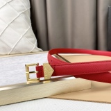 Other Belts Top Quality 20MM
