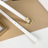 Other Belts Top Quality 20MM