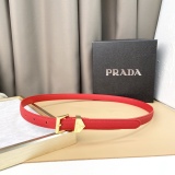 Other Belts Top Quality 20MM