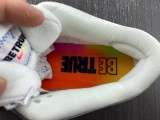 N*ike SB Dunk Low DR4876-100