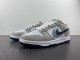 N*ike SB Dunk Low STENCIL SWOOSH FD0661-100