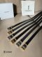 Y*SL  Belts Top Quality 24MM