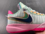 N*ike LeBron 20 DJ5422-300