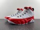 Air Jordan 9  302370-160