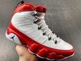 Air Jordan 9  302370-160