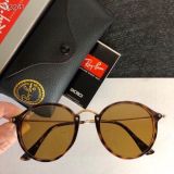 R*ayban Glasses Top