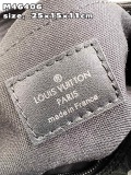L*ouis V*uitton Top Bag  25*15*11CM