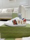 Men Women G*ucci Top Sneaker