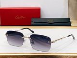 C*artier Glasses Top
