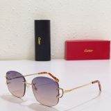 C*artier Glasses Top