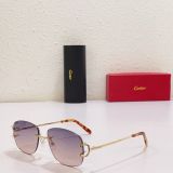 C*artier Glasses Top