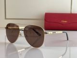 C*artier Glasses Top
