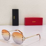 C*artier Glasses Top