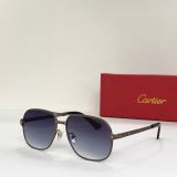 C*artier Glasses Top