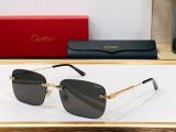 C*artier Glasses Top