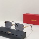 C*artier Glasses Top