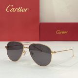 C*artier Glasses Top
