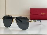 C*artier Glasses Top