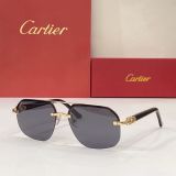 C*artier Glasses Top