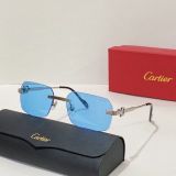 C*artier Glasses Top