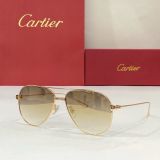 C*artier Glasses Top