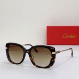 C*artier Glasses Top