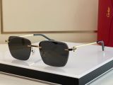 C*artier Glasses Top
