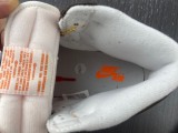 Air Jordan 1 High Starfish DO9369-101
